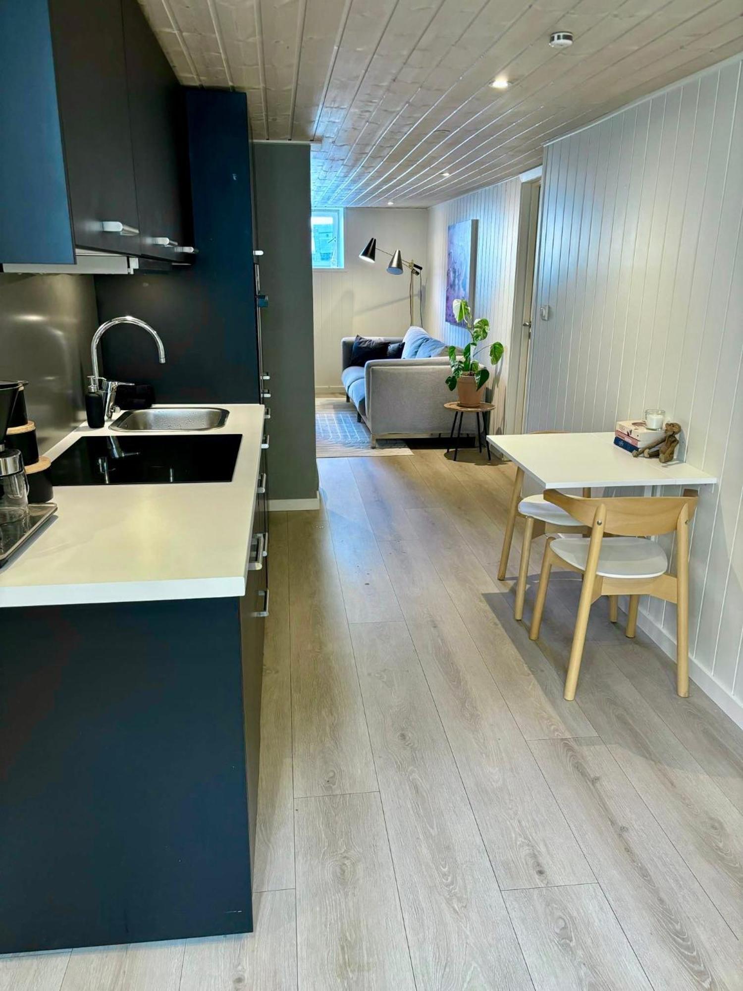 Down Town Apartment With Outside Area In Villa Kristiansand Bagian luar foto