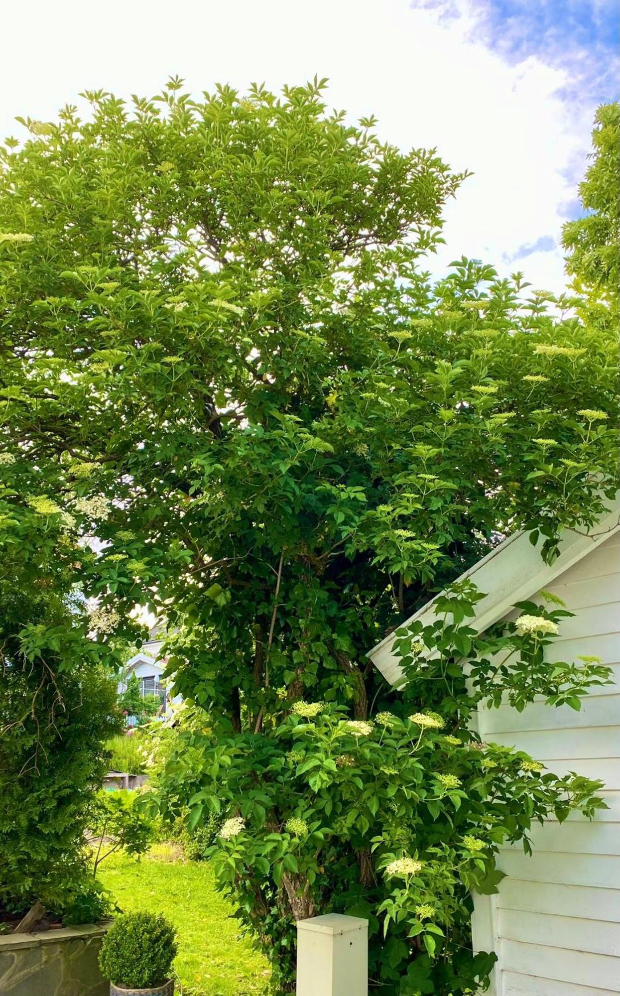 Down Town Apartment With Outside Area In Villa Kristiansand Bagian luar foto